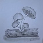 How to Draw Mushrooms Featured Image