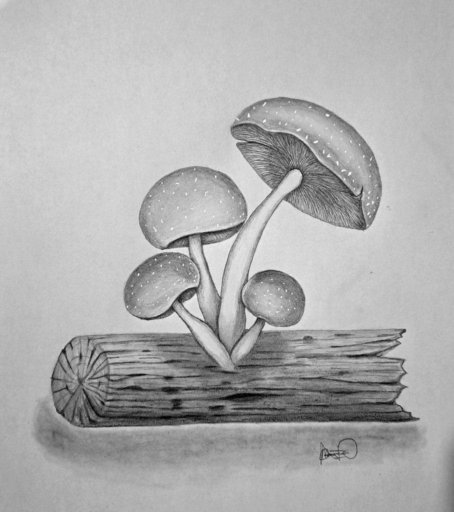 how to draw mushrooms on an old log featured image