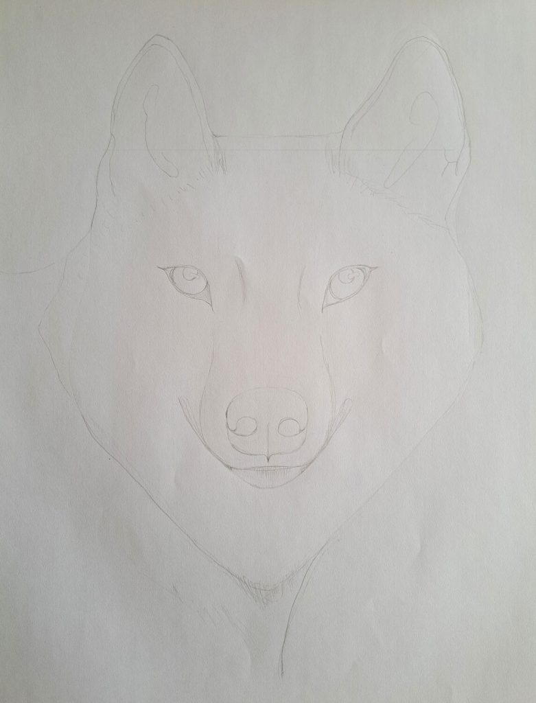 Wolf-sketch