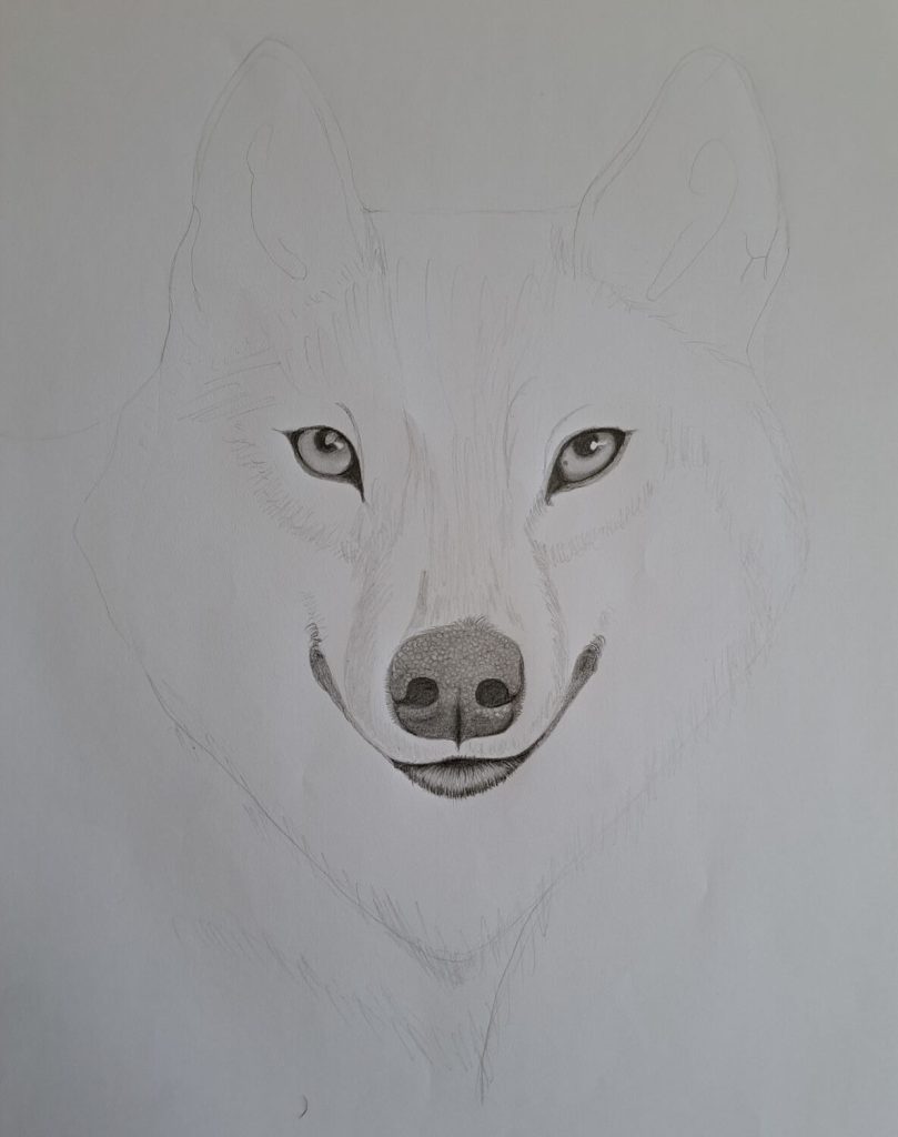 Complete-wolf-face