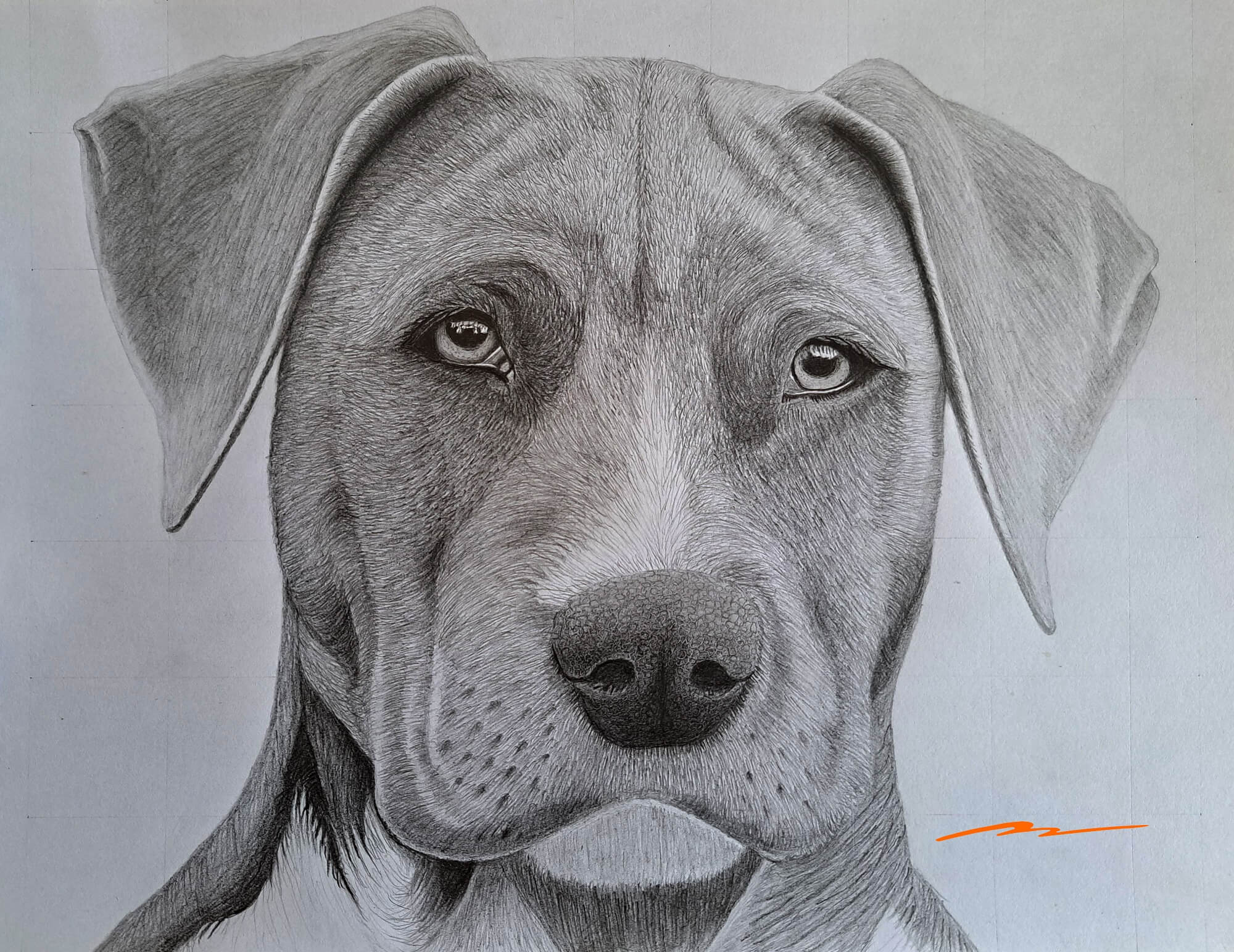 easy to draw realistic dogs