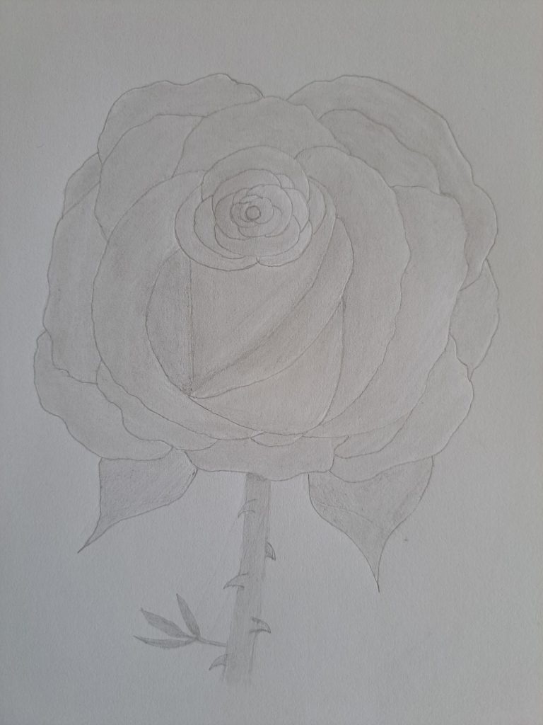 How to Draw a Rose for Valentine's Day Tutorial & Coloring Page