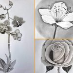 Drawing flowers - cherry, rose, orchids and other types of flowers