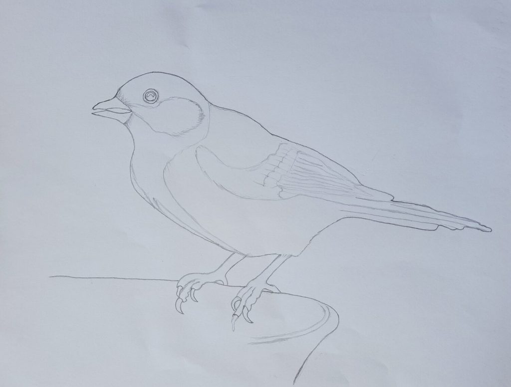 general realistic sketch of a small bird